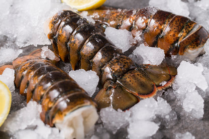 Twin Lobster Tails